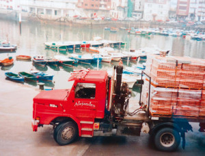 Scania T113